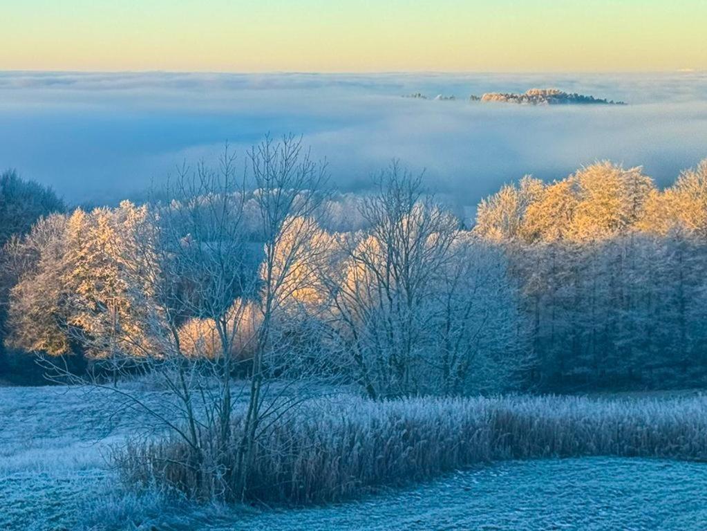 Ferienwohnungen Bauer - Auszeit Mit Ausblick Zenting Экстерьер фото